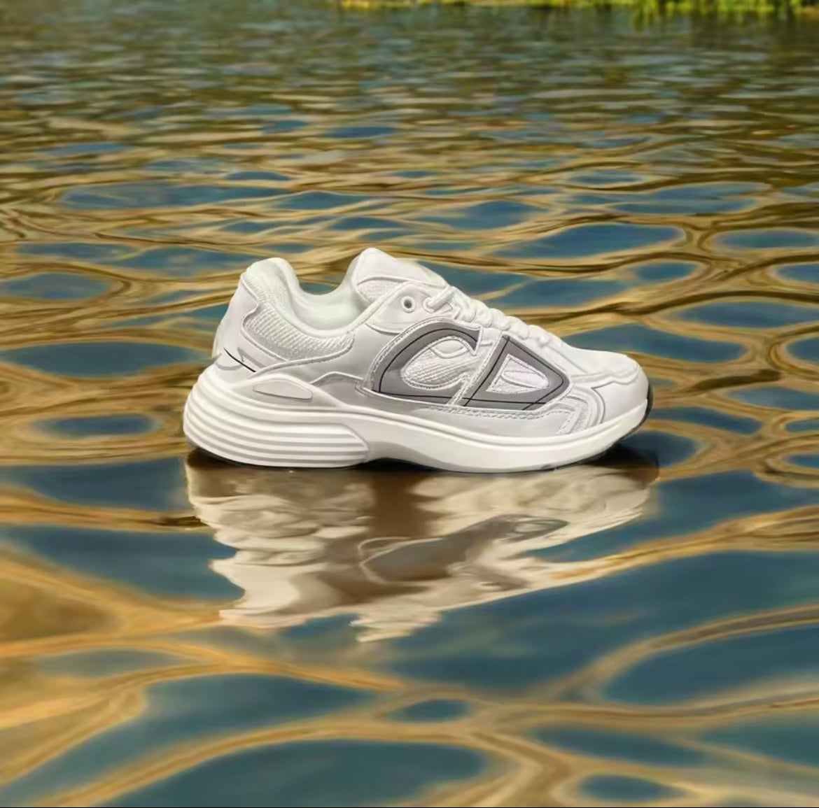 Schuhe B30 Dior